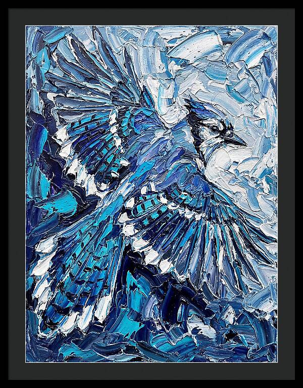 Majestic Blue Jay Soaring