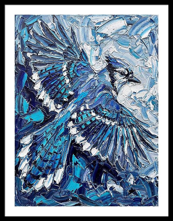 Majestic Blue Jay Soaring