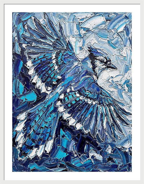 Majestic Blue Jay Soaring