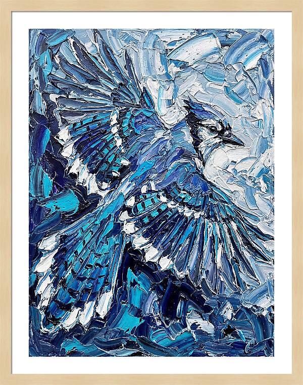Majestic Blue Jay Soaring