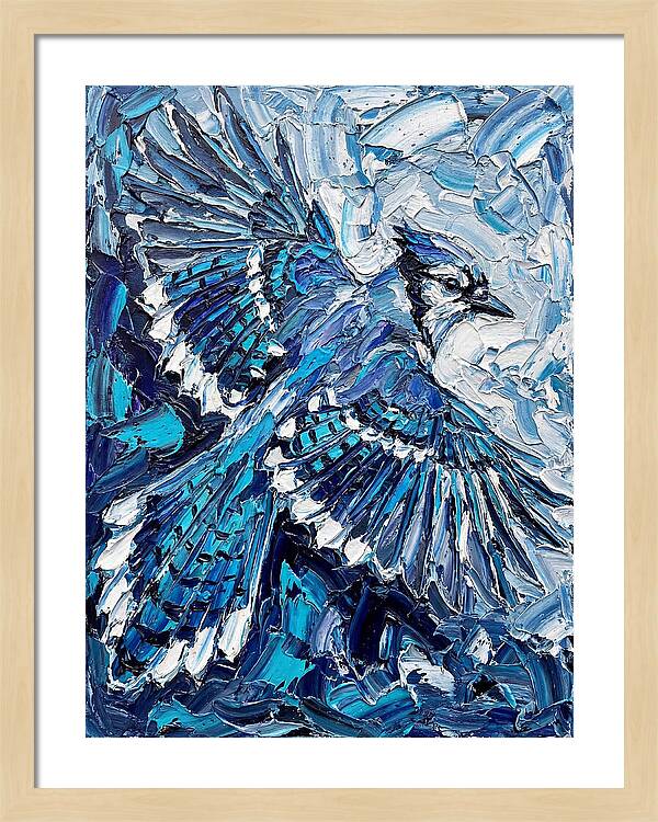 Majestic Blue Jay Soaring