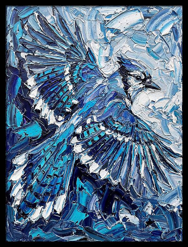 Majestic Blue Jay Soaring