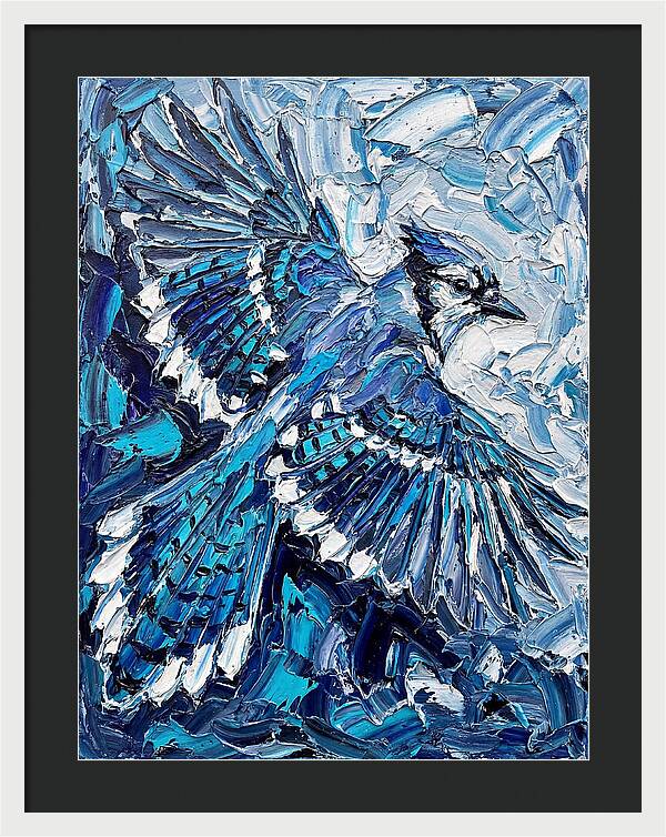 Majestic Blue Jay Soaring