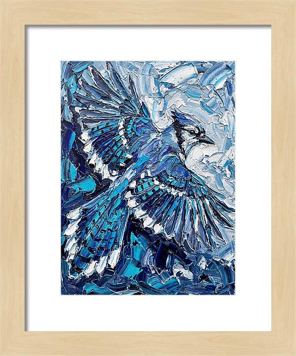Majestic Blue Jay Soaring