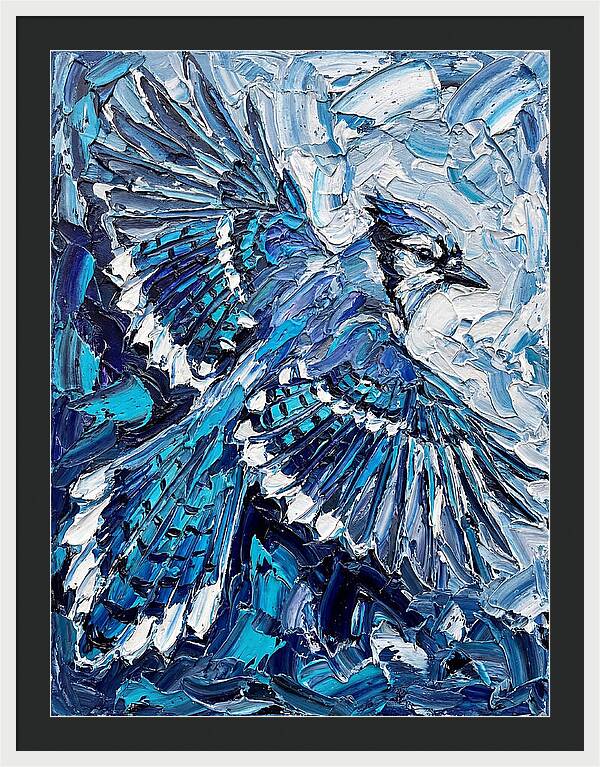 Majestic Blue Jay Soaring