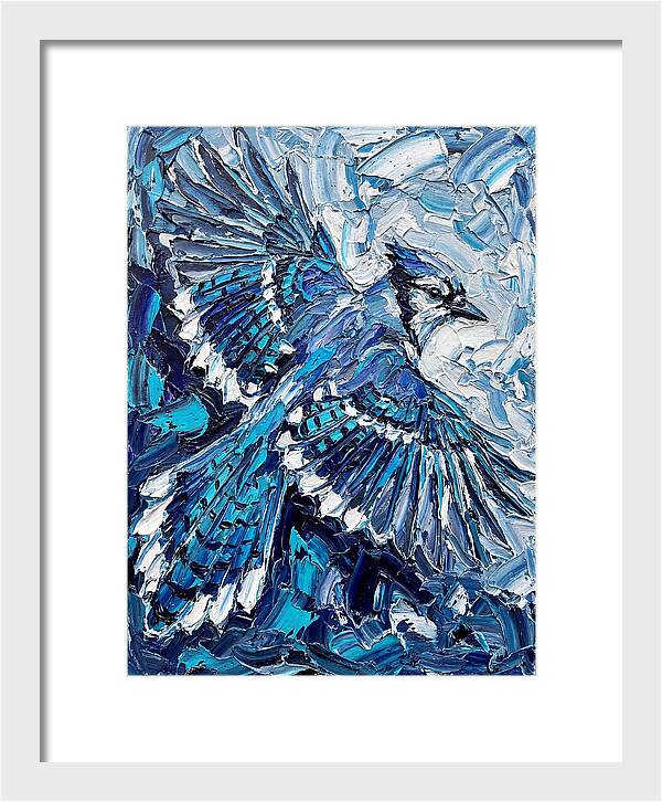 Majestic Blue Jay Soaring