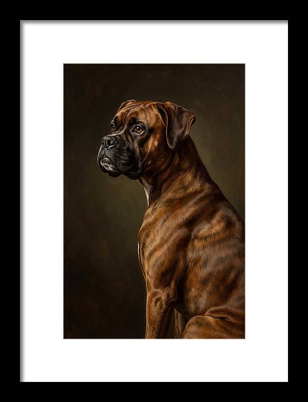 Majestic Boxer Canine Portrait