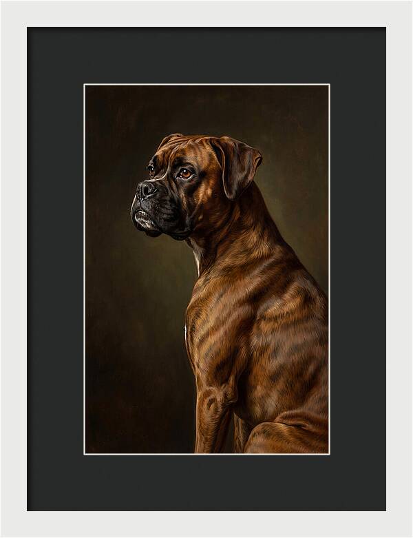 Majestic Boxer Canine Portrait