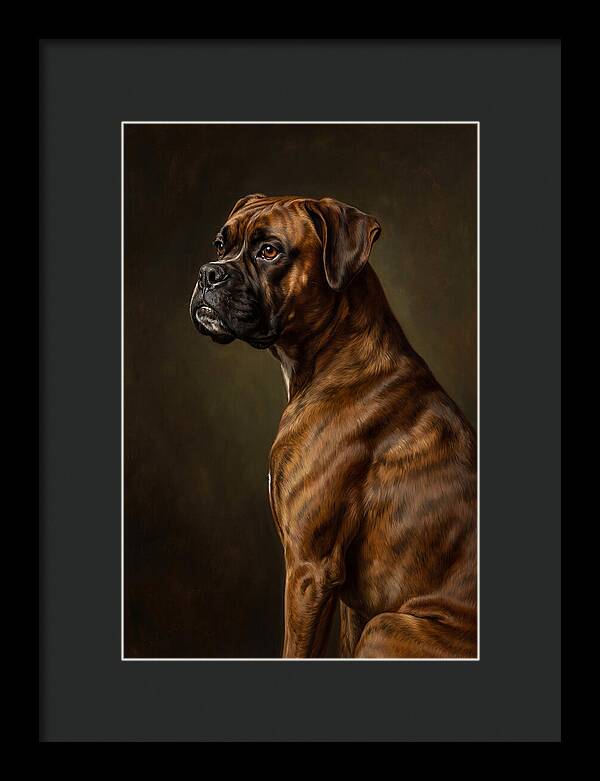 Majestic Boxer Canine Portrait