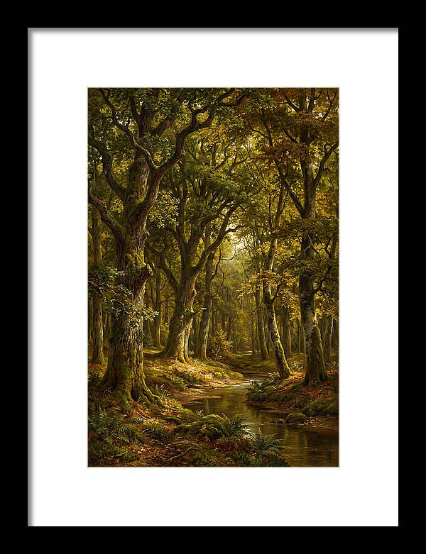 Majestic Deciduous Forest Scene