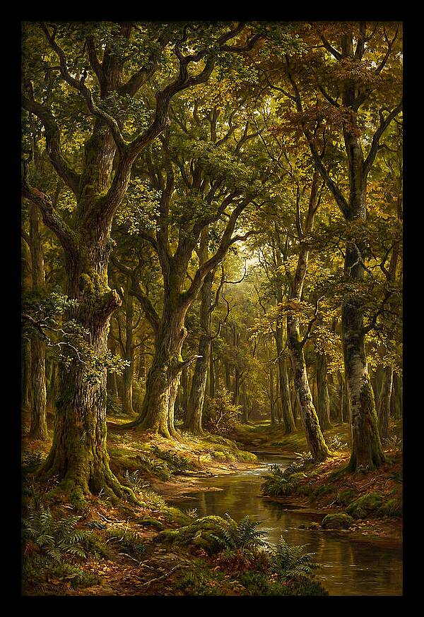 Majestic Deciduous Forest Scene