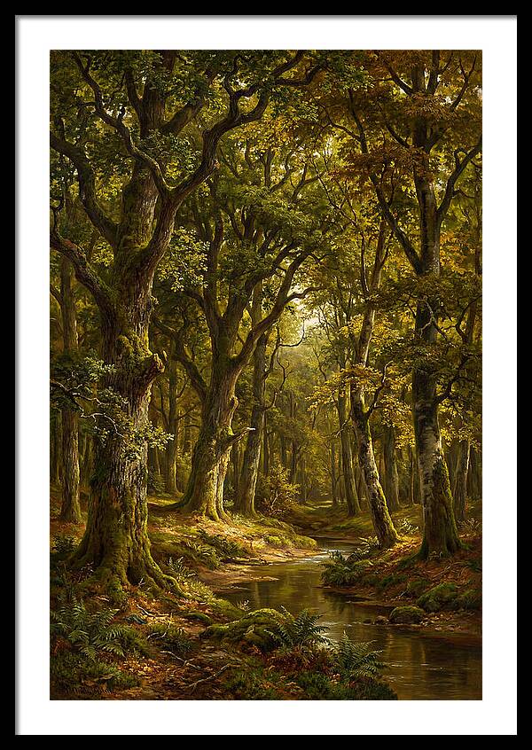 Majestic Deciduous Forest Scene