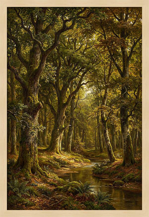 Majestic Deciduous Forest Scene