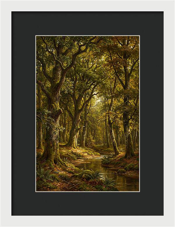 Majestic Deciduous Forest Scene