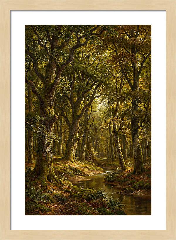 Majestic Deciduous Forest Scene