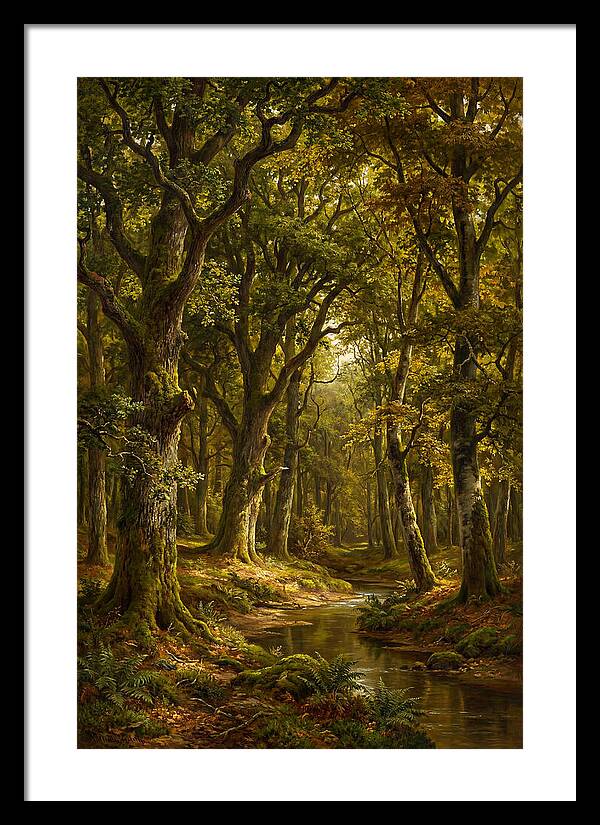 Majestic Deciduous Forest Scene