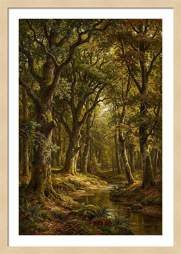 Majestic Deciduous Forest Scene