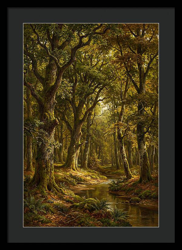 Majestic Deciduous Forest Scene