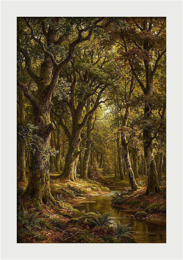 Majestic Deciduous Forest Scene