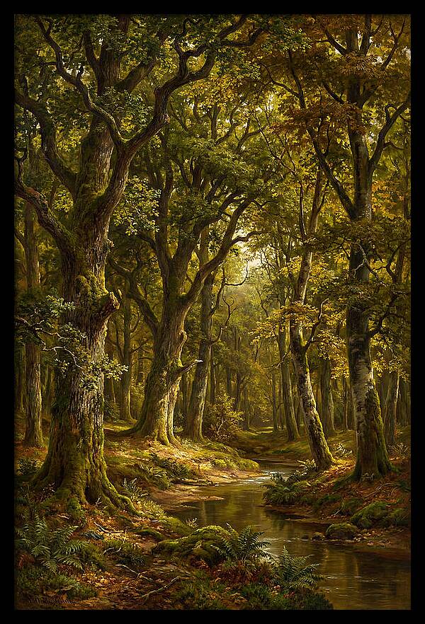 Majestic Deciduous Forest Scene