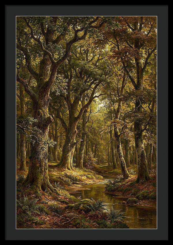 Majestic Deciduous Forest Scene