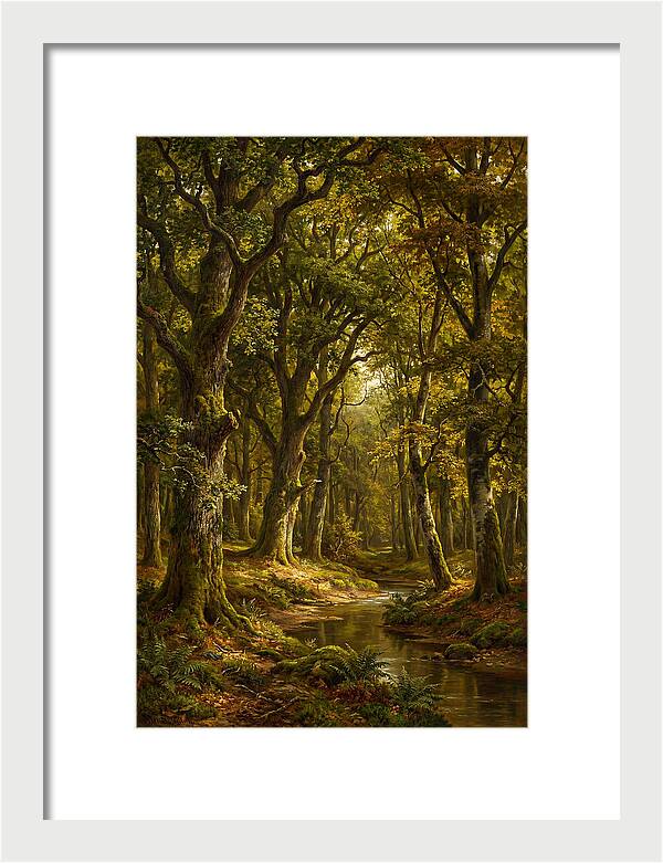 Majestic Deciduous Forest Scene