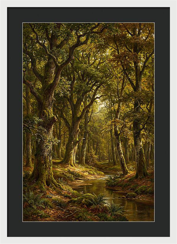 Majestic Deciduous Forest Scene