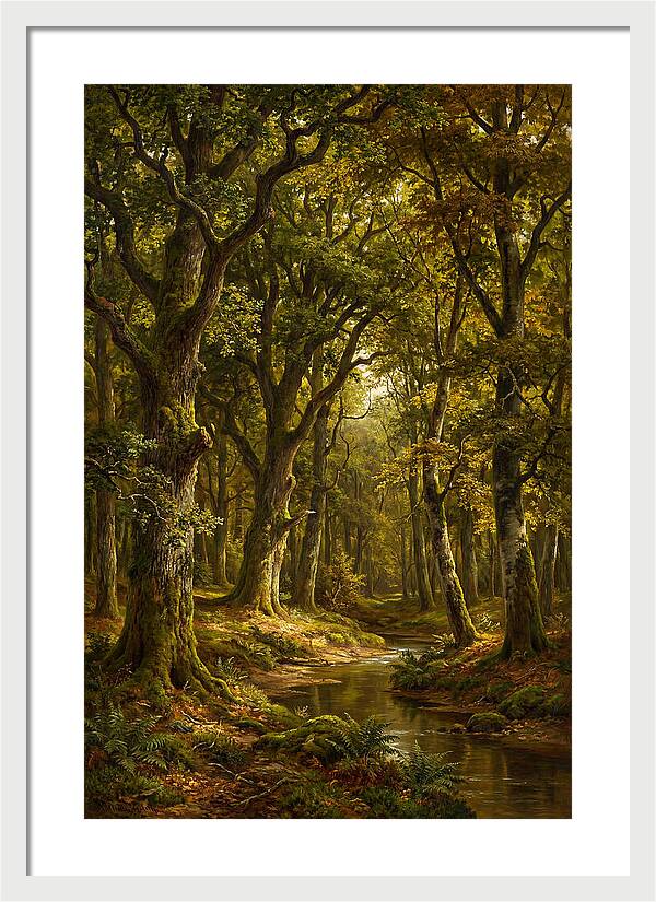 Majestic Deciduous Forest Scene