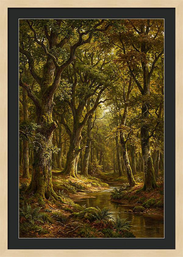 Majestic Deciduous Forest Scene