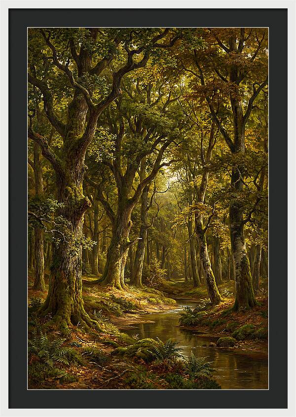 Majestic Deciduous Forest Scene