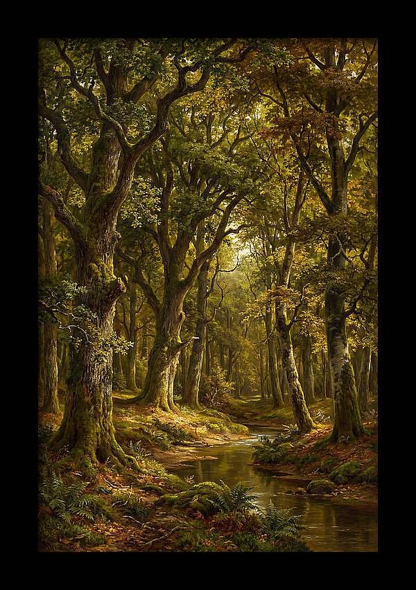 Majestic Deciduous Forest Scene