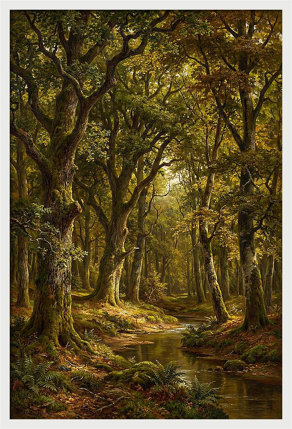 Majestic Deciduous Forest Scene
