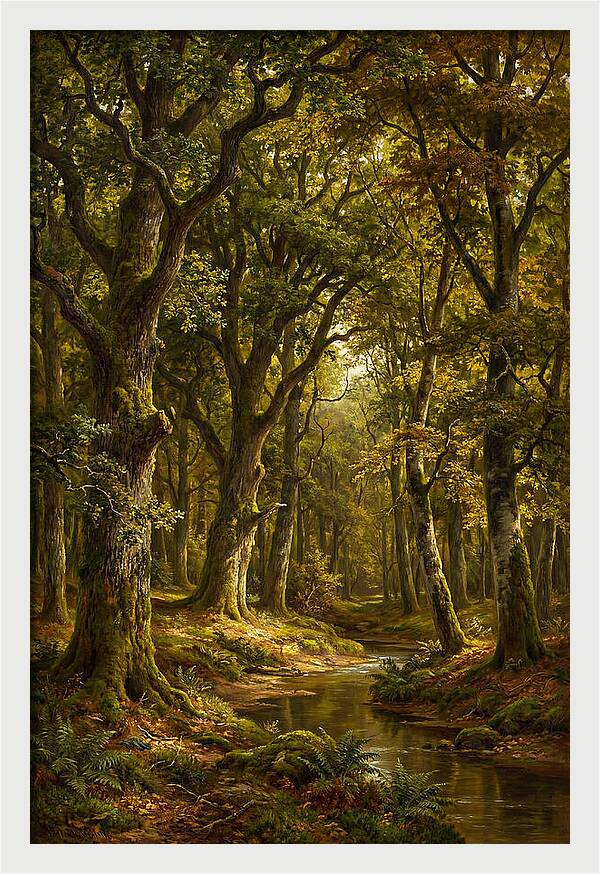 Majestic Deciduous Forest Scene