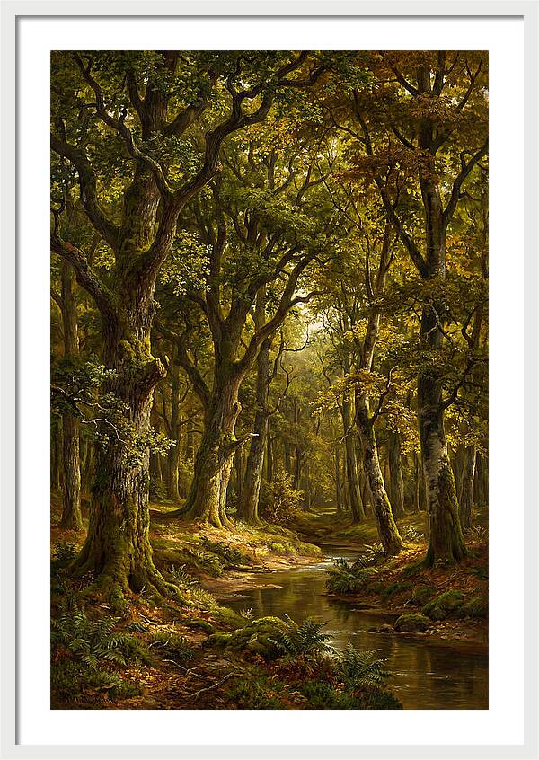 Majestic Deciduous Forest Scene
