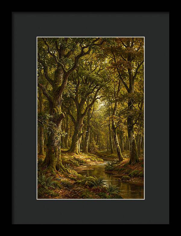 Majestic Deciduous Forest Scene