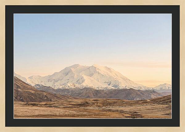 Majestic Denali Over Tundra