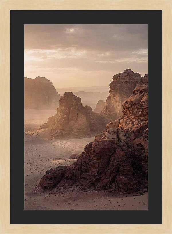 Majestic Desert Vista