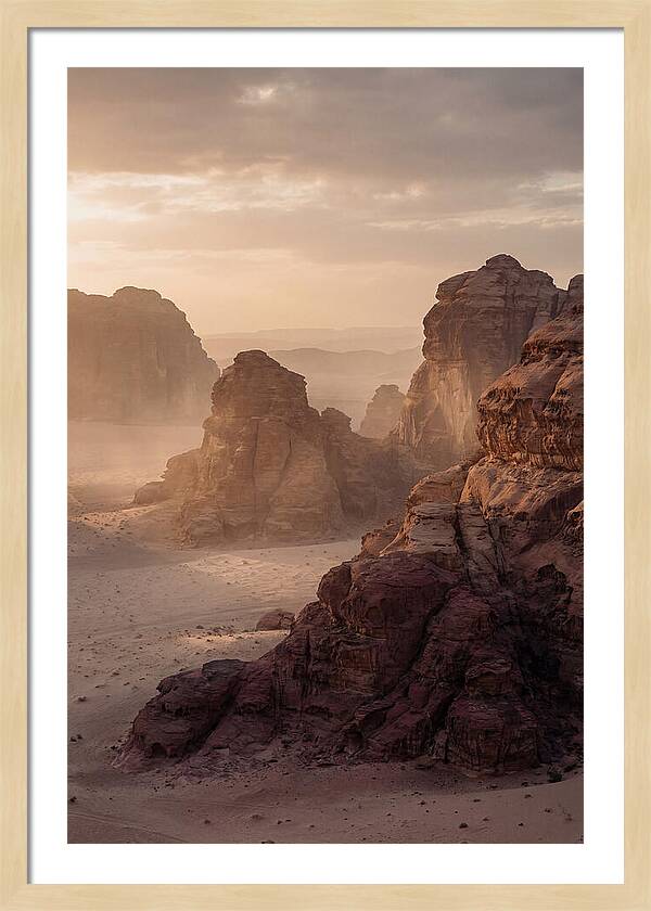 Majestic Desert Vista