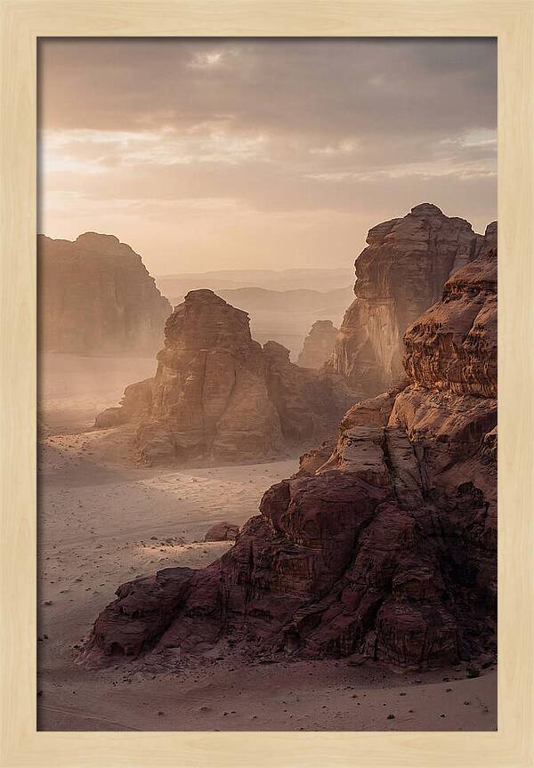 Majestic Desert Vista