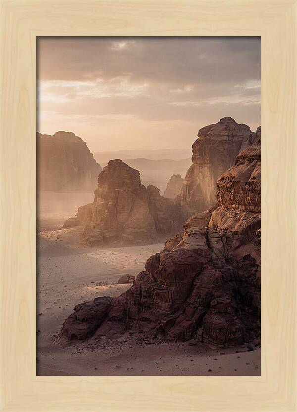 Majestic Desert Vista