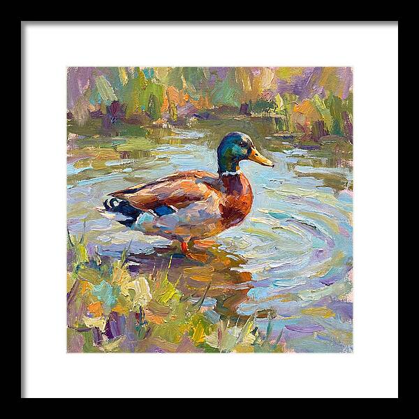 Majestic Duck In Tranquil Waters