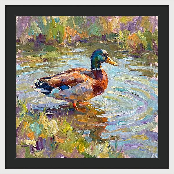 Majestic Duck In Tranquil Waters