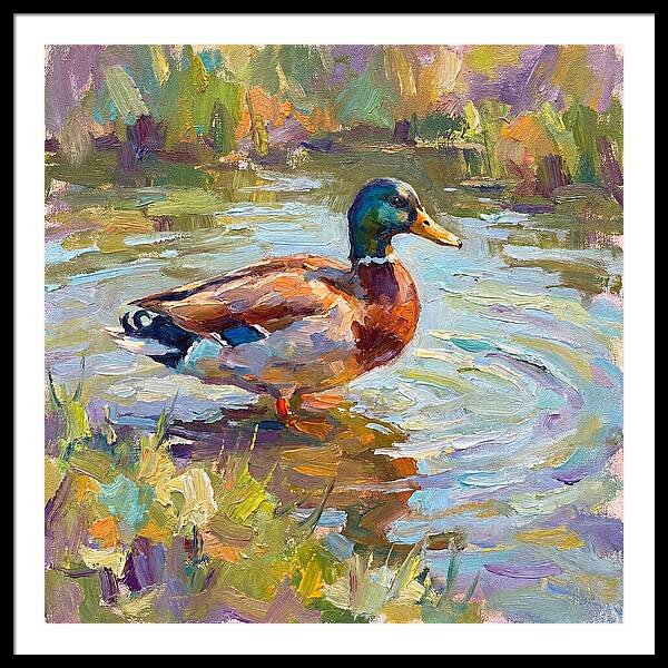Majestic Duck In Tranquil Waters