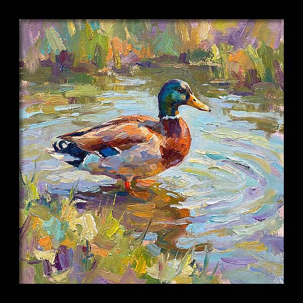 Majestic Duck In Tranquil Waters