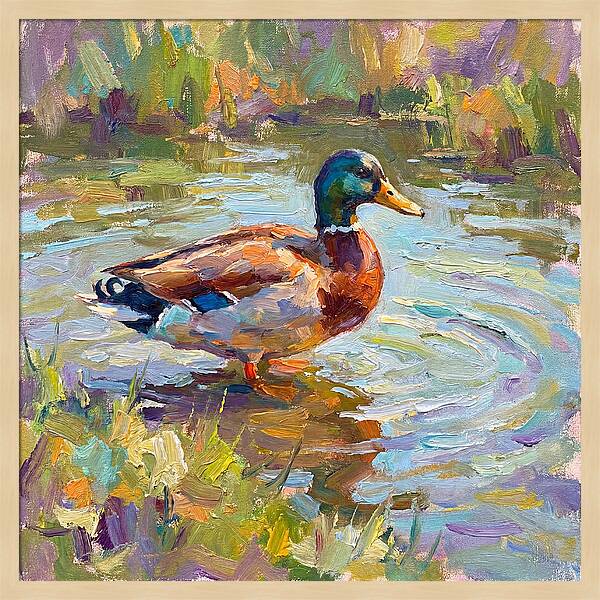 Majestic Duck In Tranquil Waters