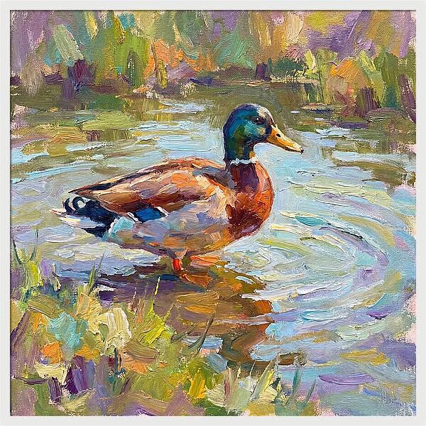 Majestic Duck In Tranquil Waters