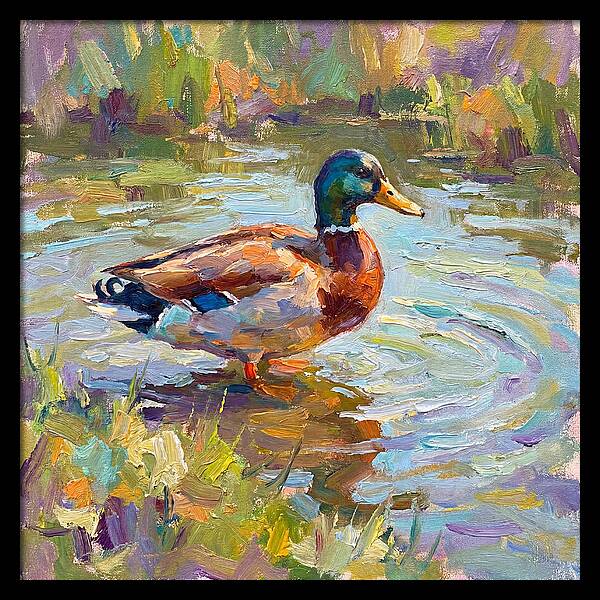 Majestic Duck In Tranquil Waters