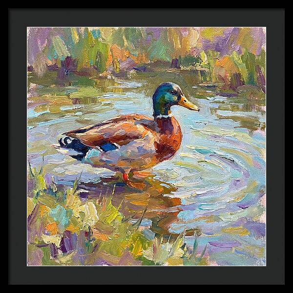 Majestic Duck In Tranquil Waters