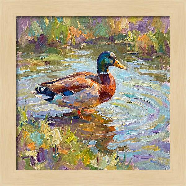 Majestic Duck In Tranquil Waters