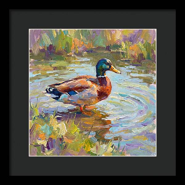 Majestic Duck In Tranquil Waters
